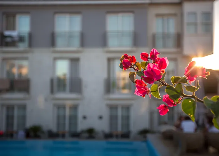 Alalucca- Adult Only Hotell *