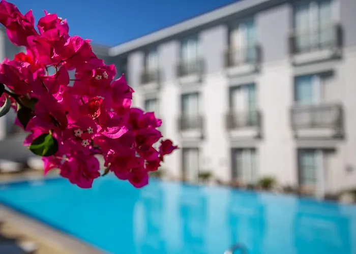 Alalucca- Adult Only