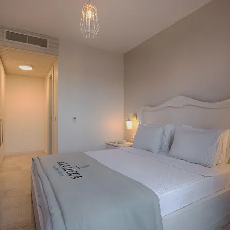 Alalucca- Adult Only *