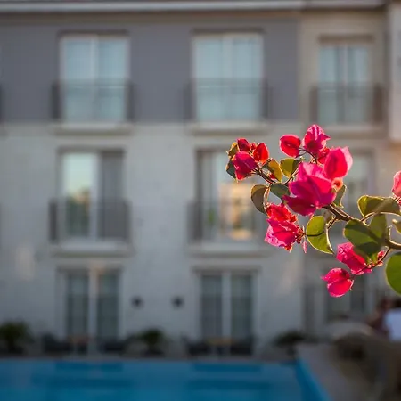 Hotel Alalucca- Adult Only Alacati