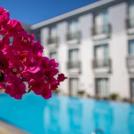 Alalucca- Adult Only